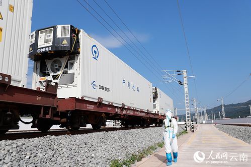从磨憨铁路口岸到舌尖上的自由 道路货物运输如何打通美食新丝路